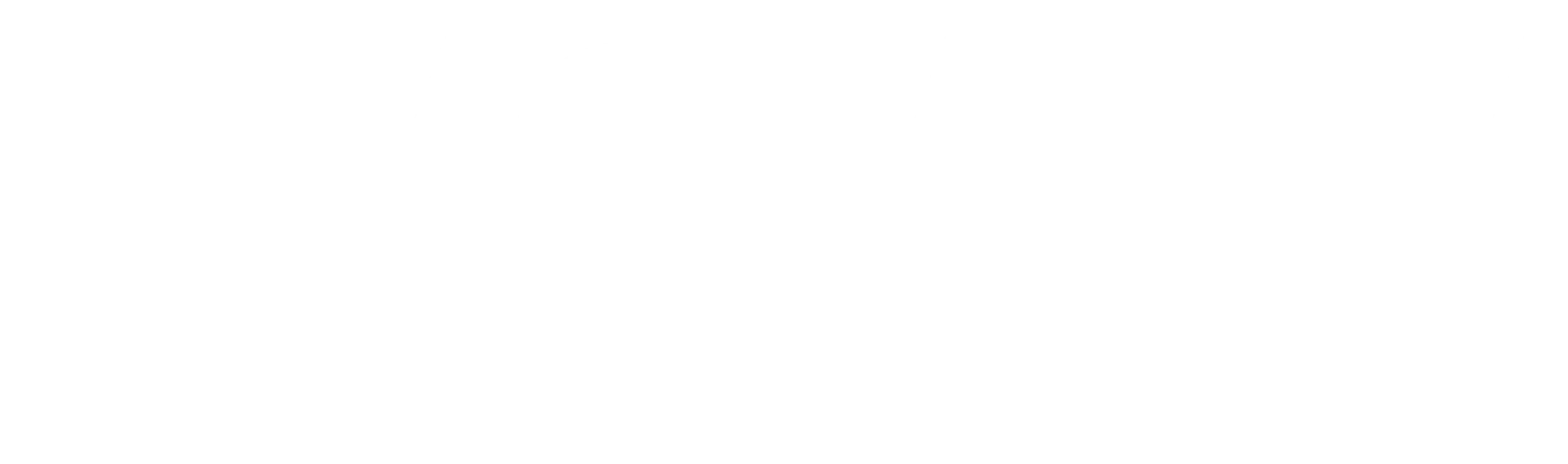 BSH Bosch und Siemens Hausgeraete logo weiss 80 scaled