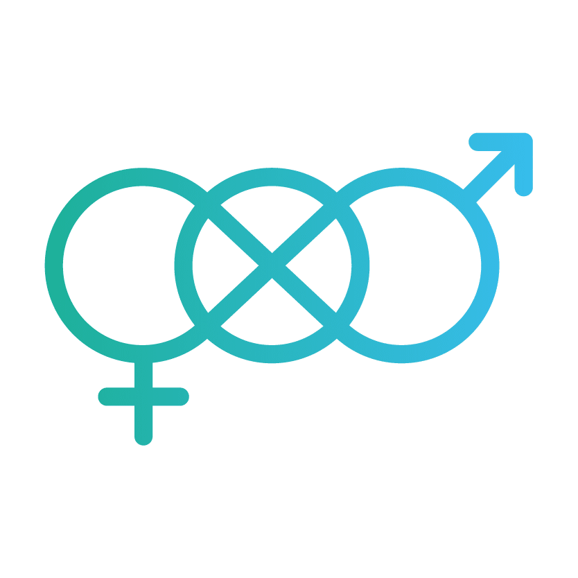 novatec icon gendergerechtigkeit WEB